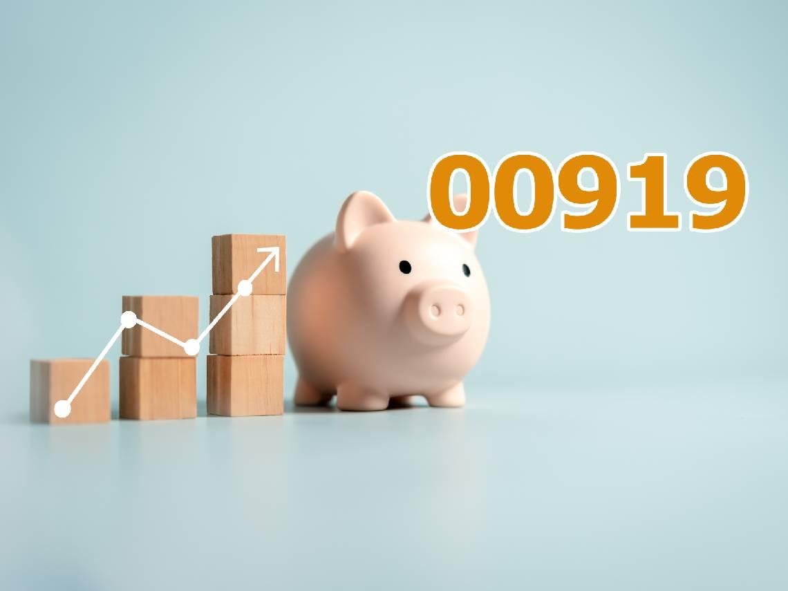 00919股價連創新高，配息1.1元穩了？吃完金融股大行情，9月除息前還能衝？現在買會太貴？一次解答